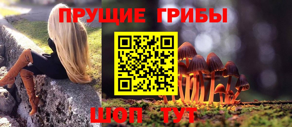 Псилоцибиновые грибы Psilocybine cubensis  цены   Саранск  Вход с VPN 